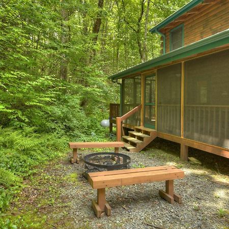 K6 Lodge Gather Around The Firepit Soak In The Hot Tub And Splash In The Creek Blue Ridge Exteriér fotografie