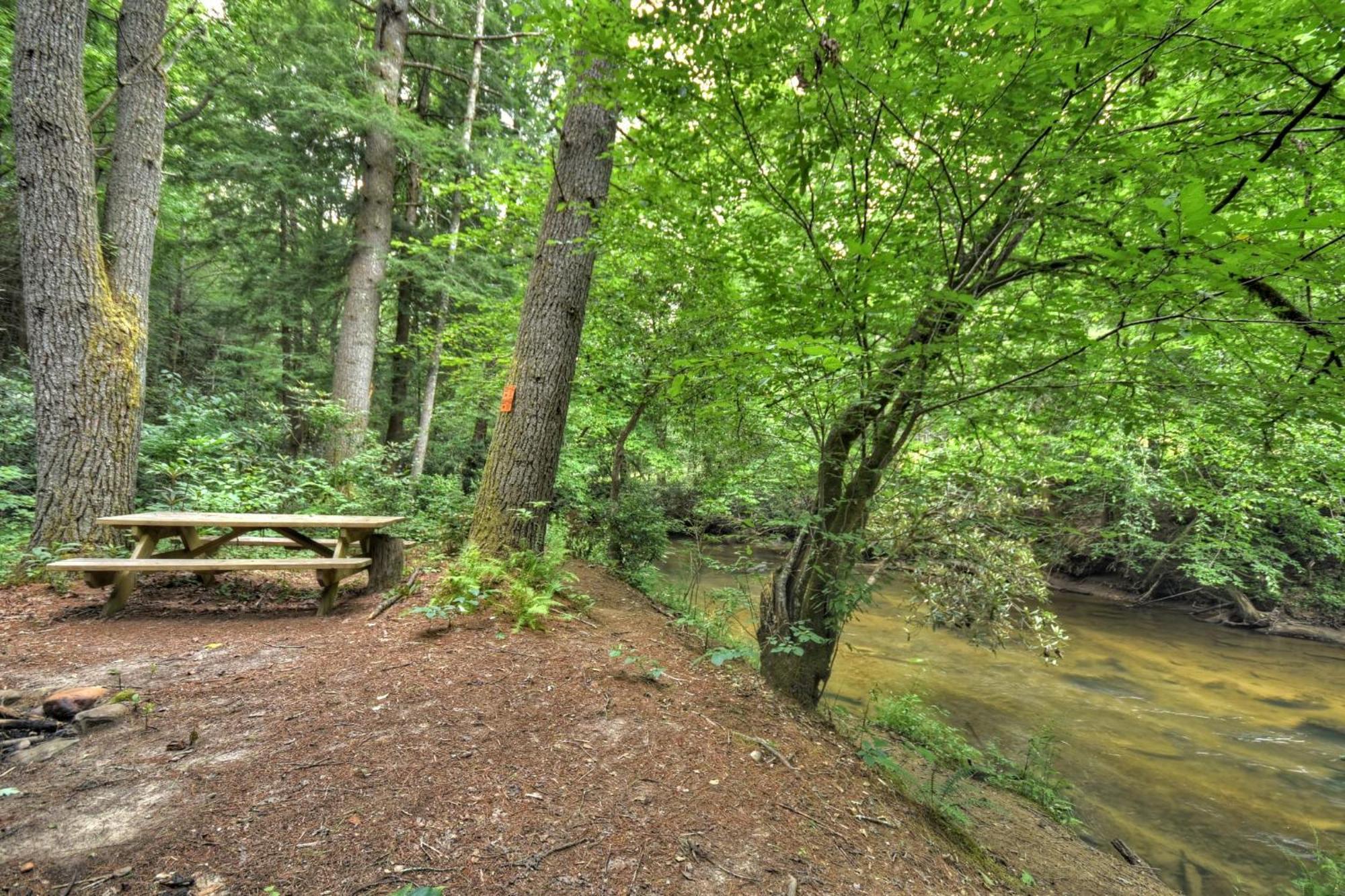 K6 Lodge Gather Around The Firepit Soak In The Hot Tub And Splash In The Creek Blue Ridge Exteriér fotografie